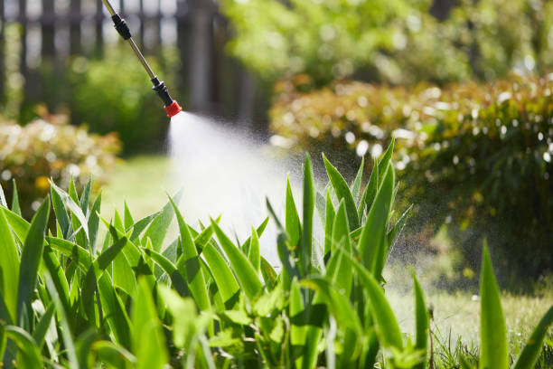 Tamper-Resistant Bait Stations for Rodents in De Soto