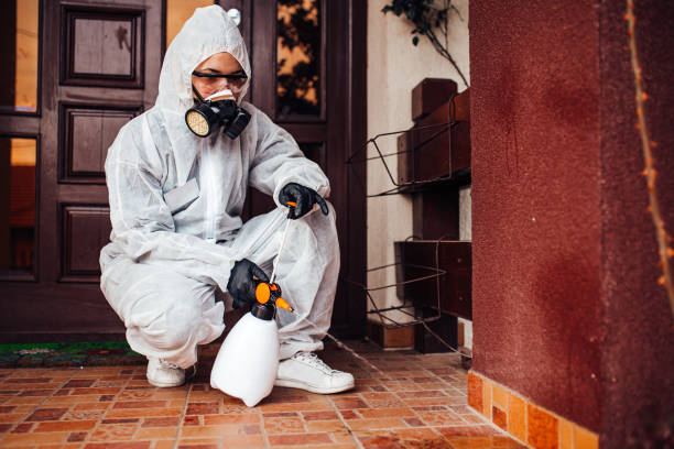 Attic and Crawl Space Rodent Treatment in De Soto